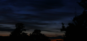 2015-09-13 saltaire reedley 003