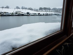 Snow and ice on lady teal